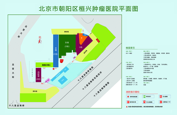 骚逼.com北京市朝阳区桓兴肿瘤医院平面图